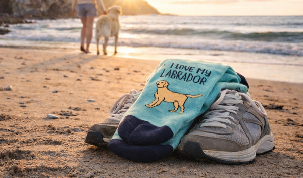 Dog Socks