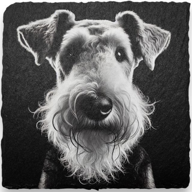 Slate Coasters - Dogs (A-D)