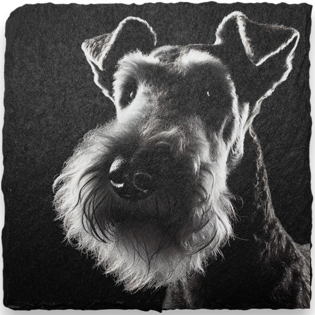 Slate Coasters - Dogs (A-D)