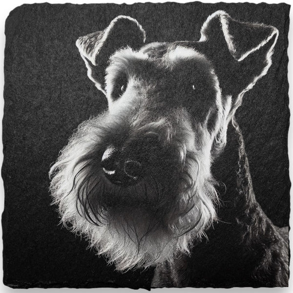 Slate Coasters - Dogs (A-D)