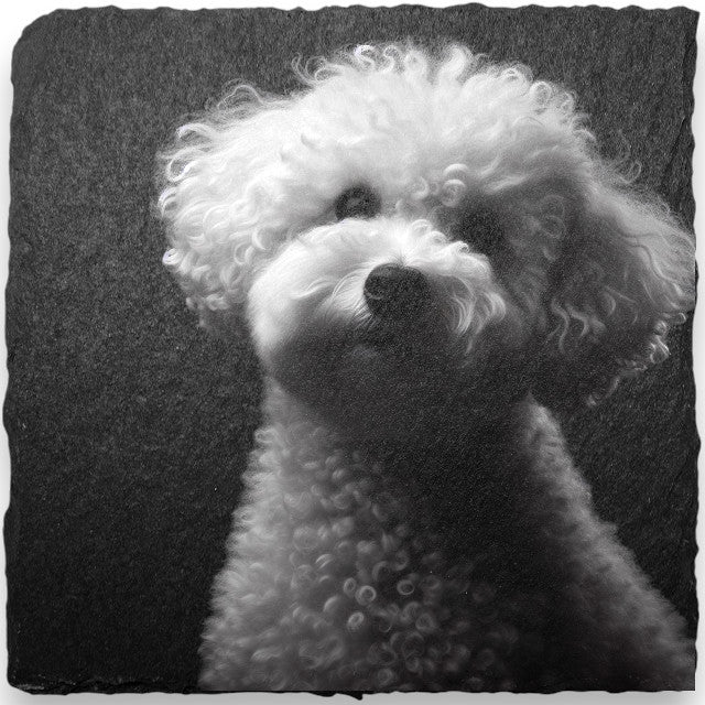 Slate Coasters - Dogs (A-D)