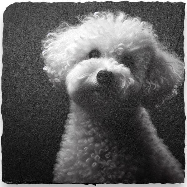 Slate Coasters - Dogs (A-D)