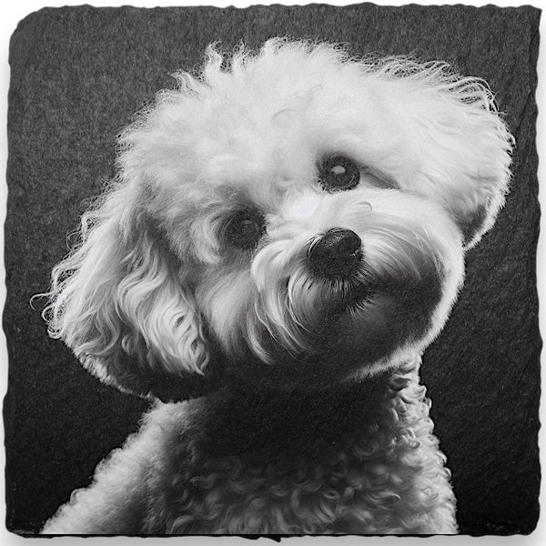 Slate Coasters - Dogs (A-D)