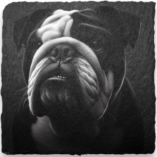 Slate Coasters - Dogs (A-D)