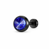 Stainless Steel with Blue Cubic Zirconia Stud Earrings
