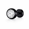 Black Stainless Steel Cubic Zirconia Stud Earrings