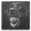 Black Labrador Slate Coaster