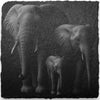 Slate Coaster - Elephants