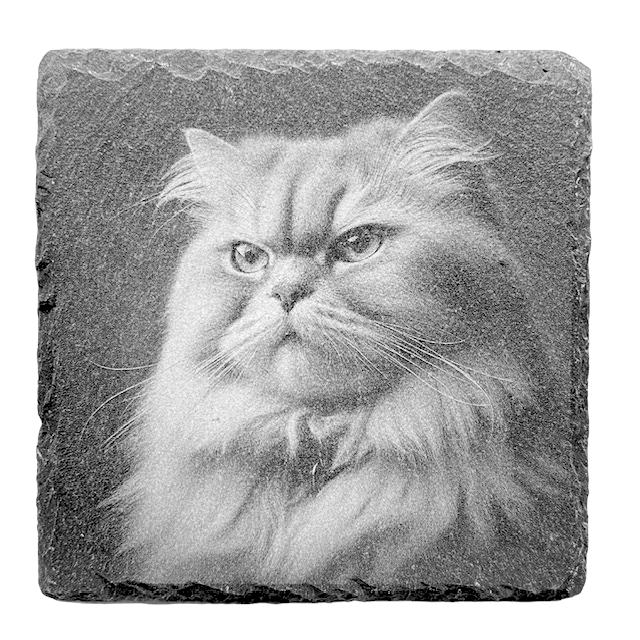 Slate Coaster - Cat