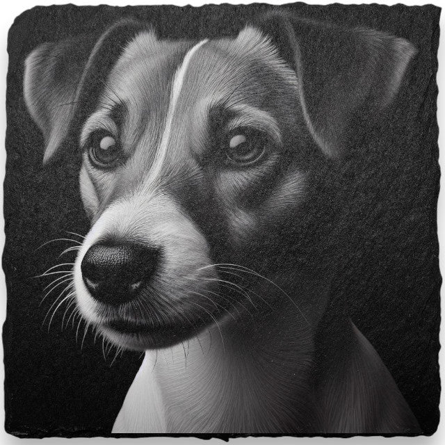 Slate Coasters - Dogs (H-L)