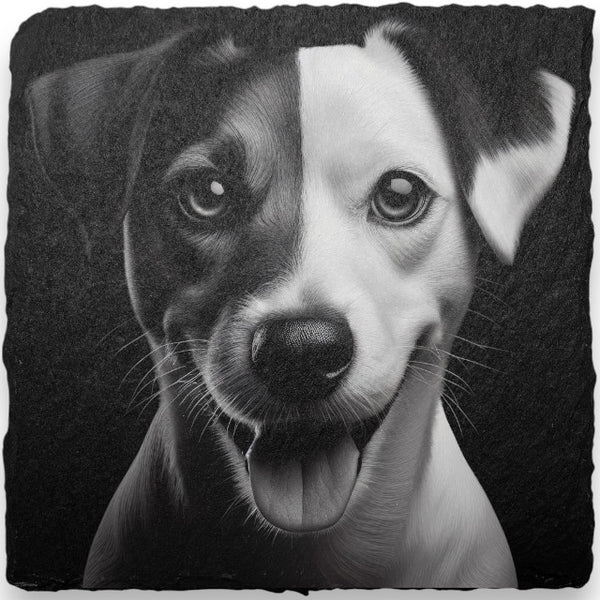 Slate Coasters - Dogs (H-L)