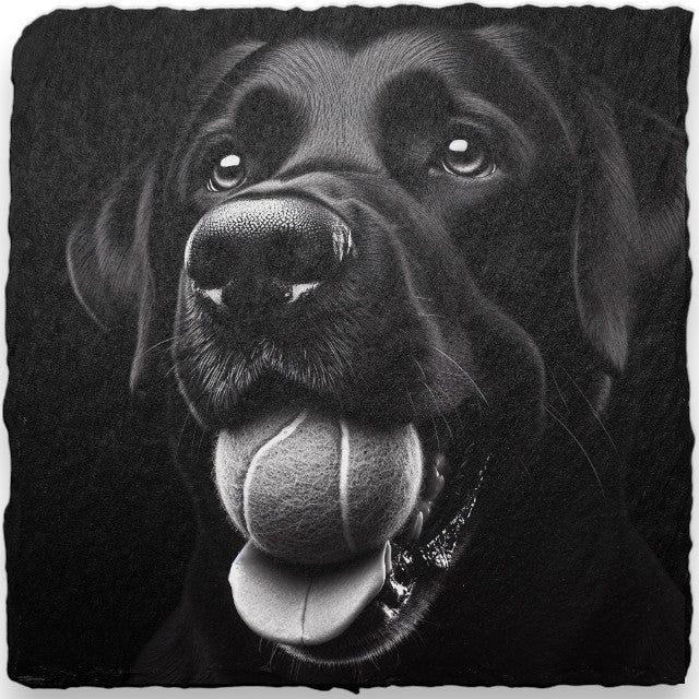 Slate Coasters - Dogs (H-L)