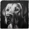Slate Coasters - Dogs (H-L)