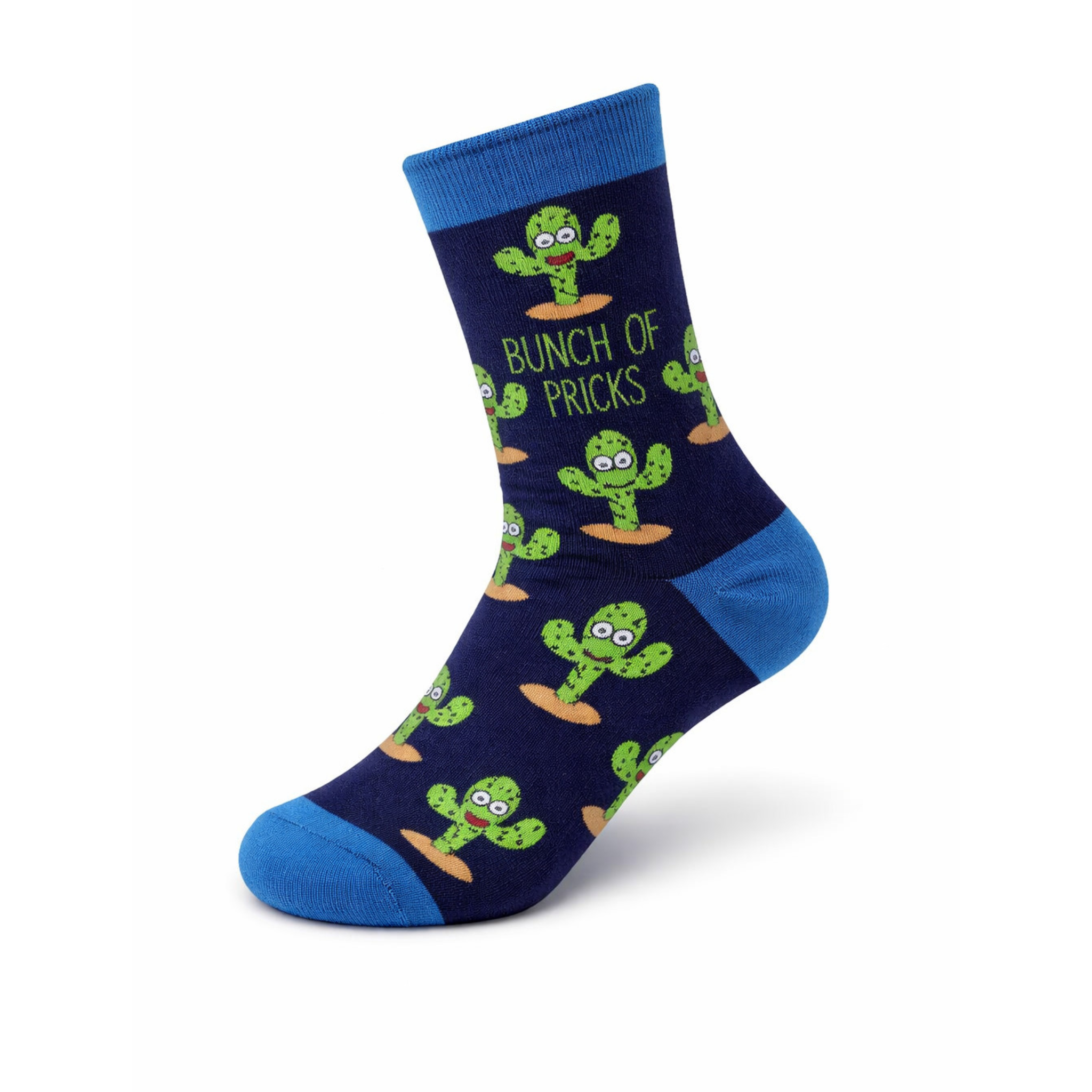 Bunch of Pricks novelty socks navy main view with cactus design