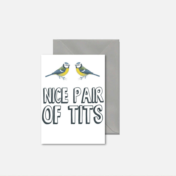 Funny Birthday Card - Nice Pair of Tits C167