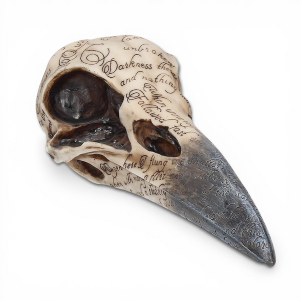 Edgar’s raven skull sculpture 21cm gothic resin with etched script detail and aged bone finish