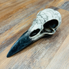 Edgar’s raven skull sculpture 21cm gothic resin on wooden surface showing etched script detail and aged finish