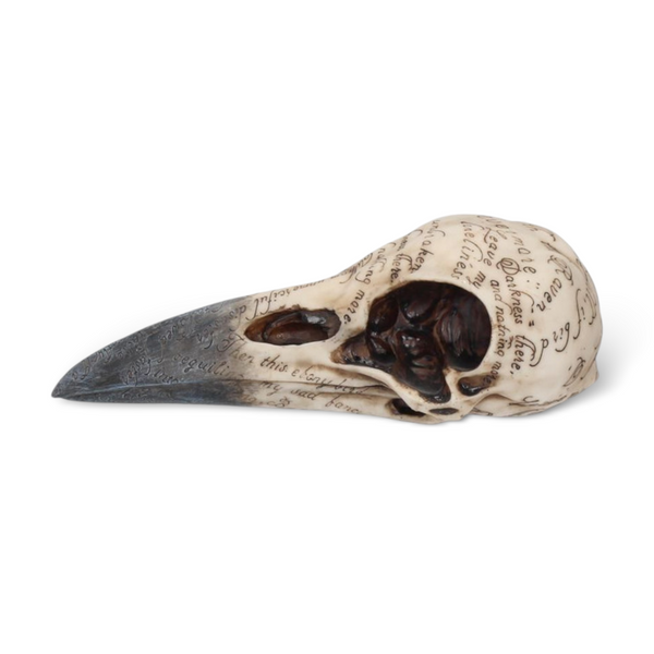 Edgar’s raven skull sculpture 21cm gothic resin side view showing etched script detail and aged bone finish