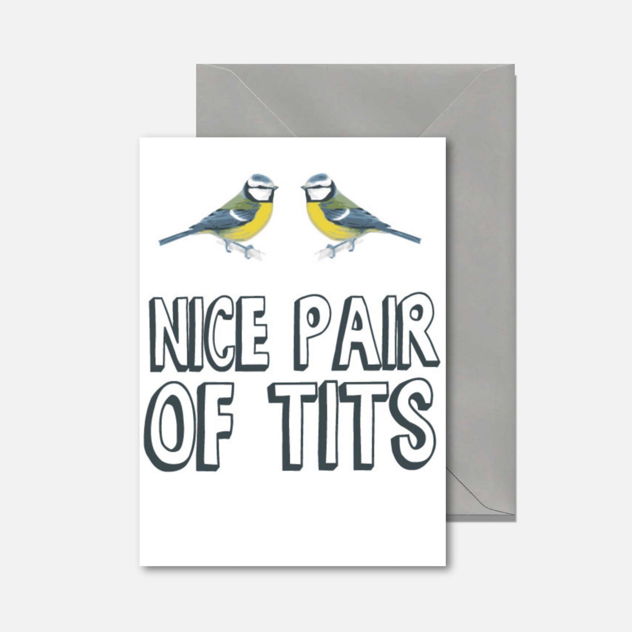 Funny birthday greeting card featuring two tit birds and the text 