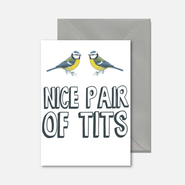 Funny birthday greeting card featuring two tit birds and the text "Nice Pair of Tits"