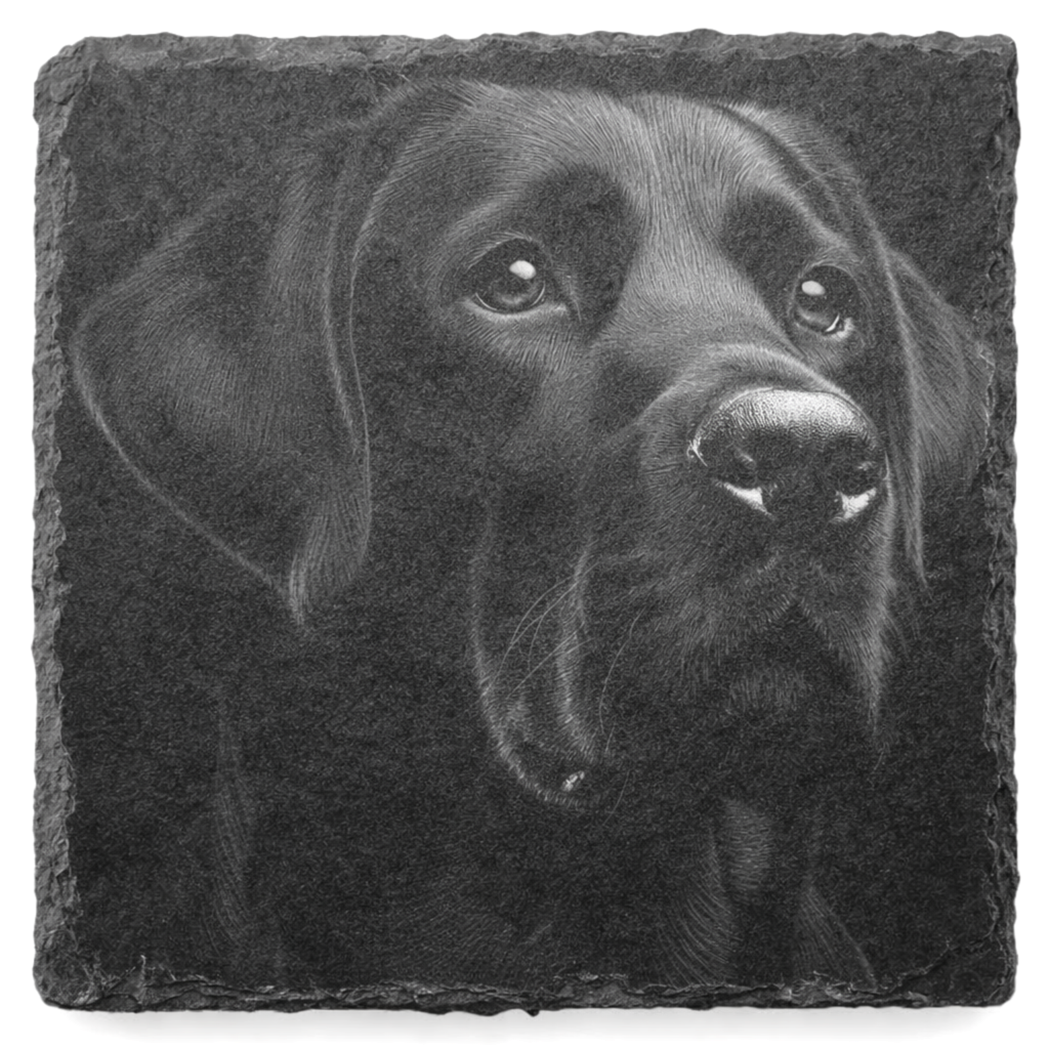 laser engraved black Labrador on a slate coaster against a white background