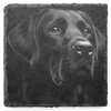 laser engraved black Labrador on a slate coaster against a white background