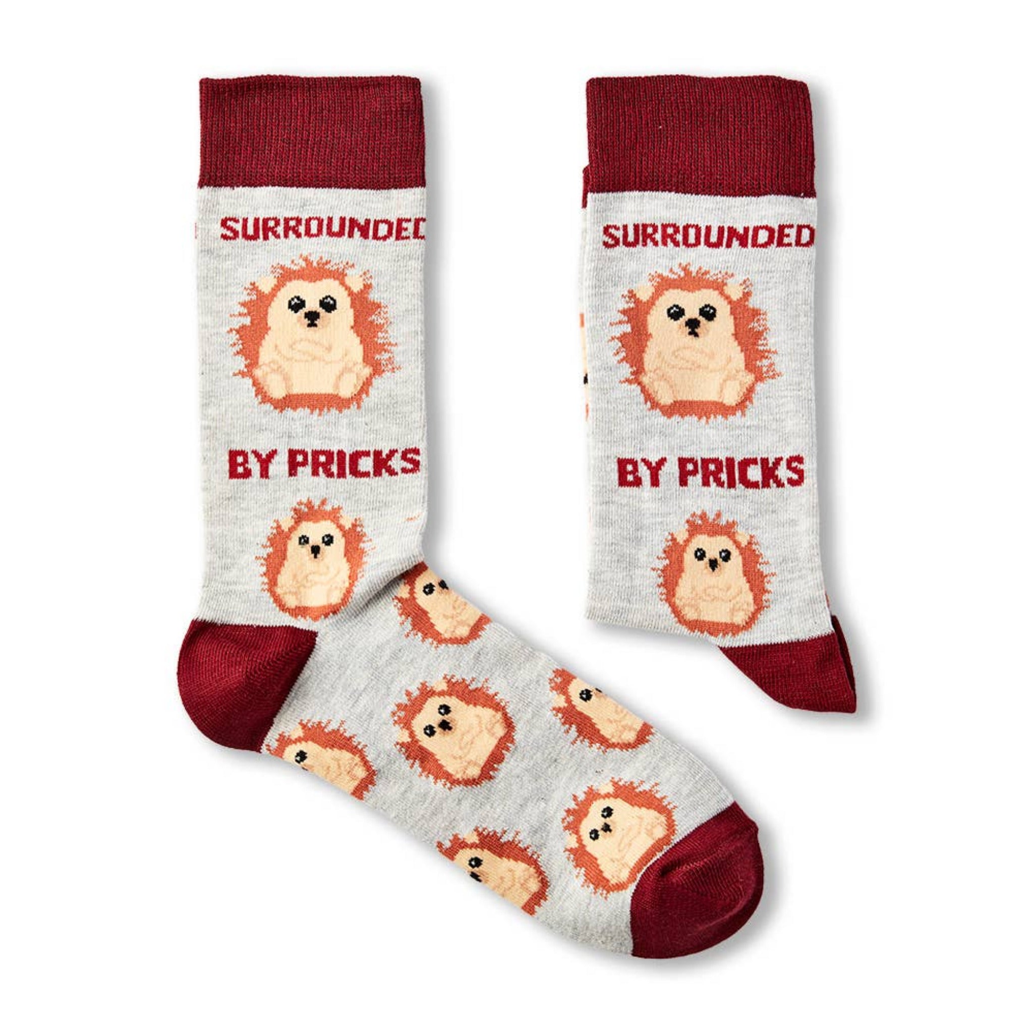 Pair of grey novelty socks with brown heel and toe featuring hedgehog pattern and slogan