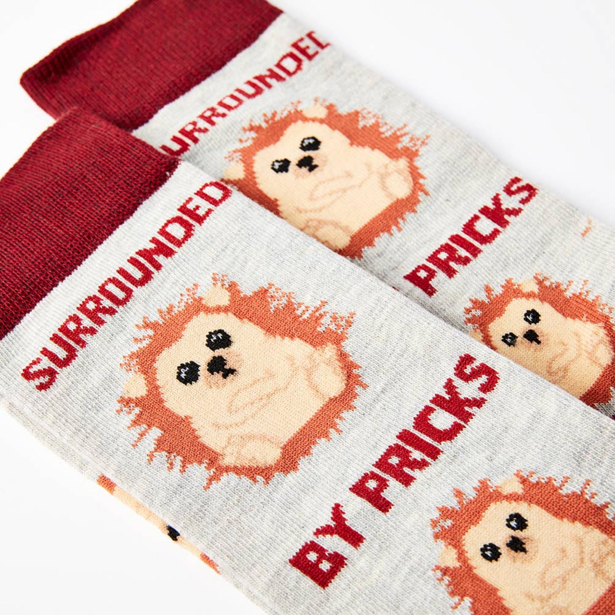 Close up of hedgehog design and surrounded by pricks slogan on grey novelty socks