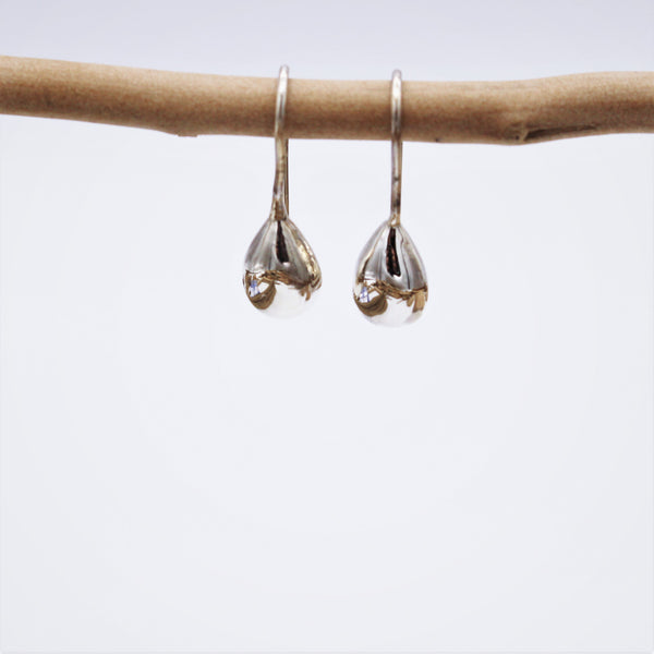 Silver Teardrop Hook Earrings