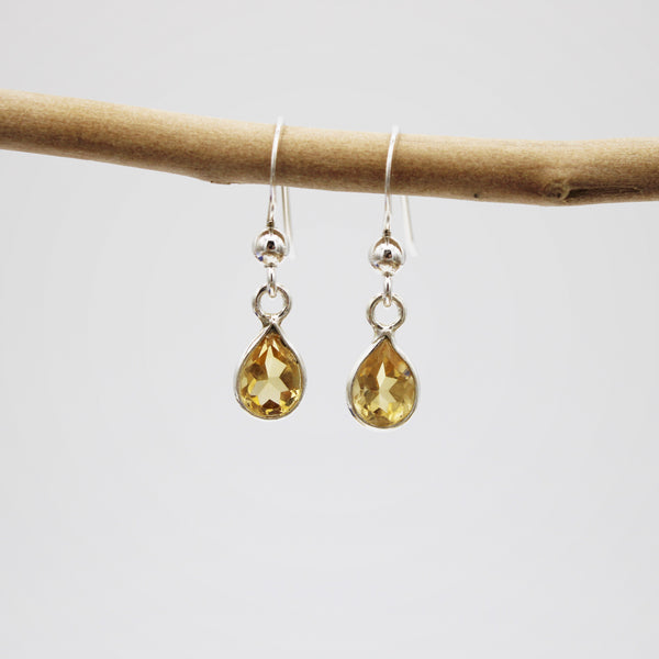 Decorated Silver Hook Earrings