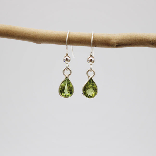 Decorated Silver Hook Earrings